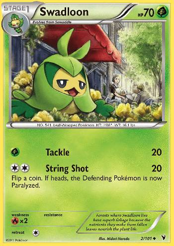 Swadloon (2/101)