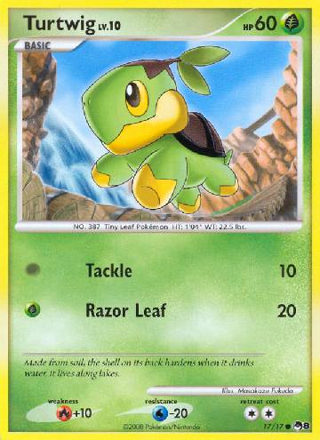 Turtwig (17/17)