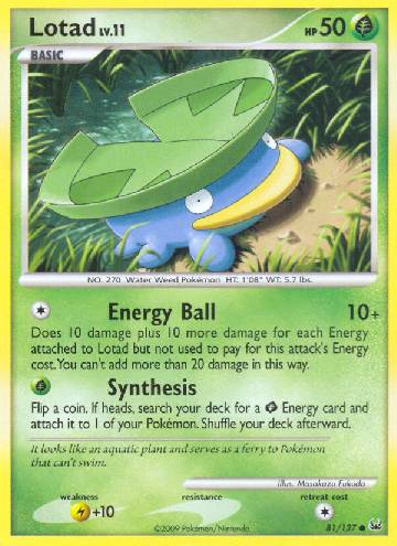 Lotad (81/127)
