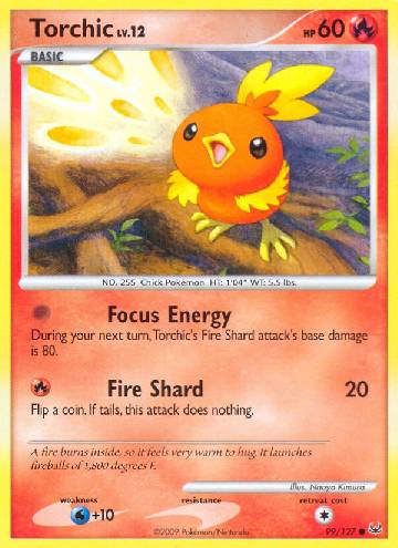 Torchic (99/127)