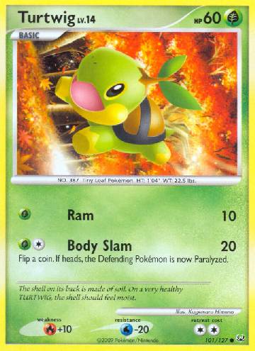 Turtwig (101/127)
