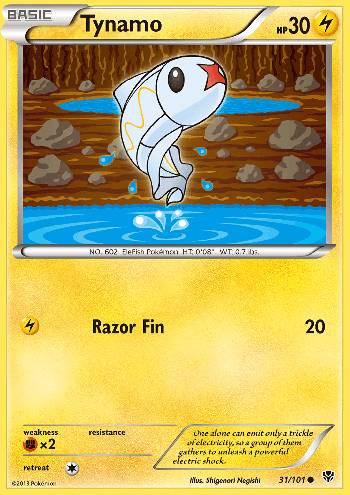 Tynamo (31/101)