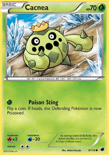 Cacnea (9/116)