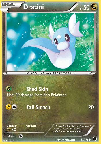 Dratini (81/116)