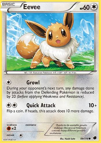 Eevee (89/116)