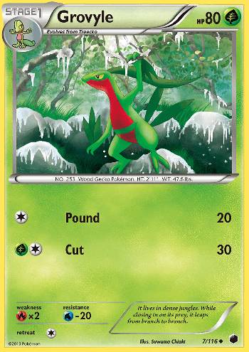 Grovyle (7/116)