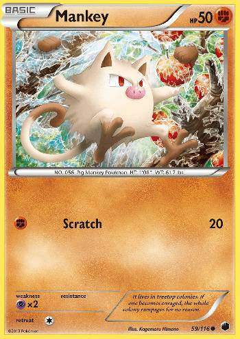 Mankey (59/116)
