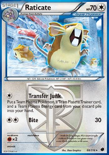 Raticate (88/116)