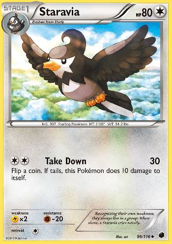 Staravia (96/116)