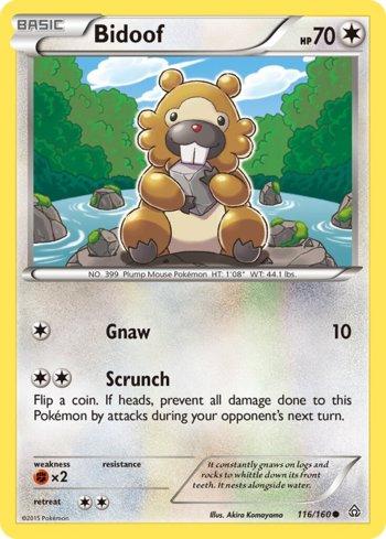Bidoof (116/160)