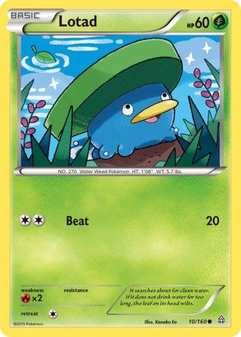 Lotad (10/160)
