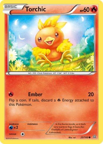 Torchic (25/160)