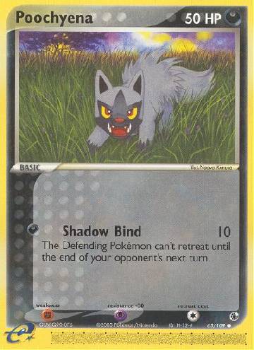 Poochyena (65/109)