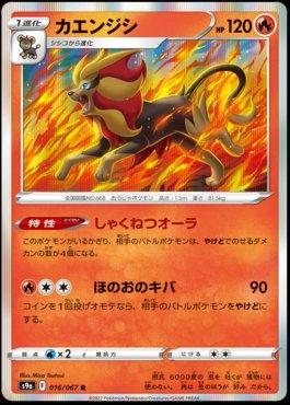 Pyroar (016/067)