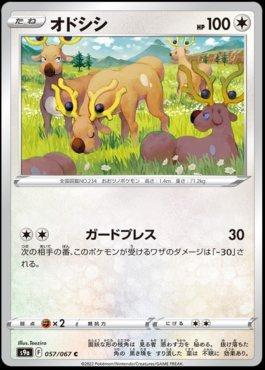 Stantler (057/067)