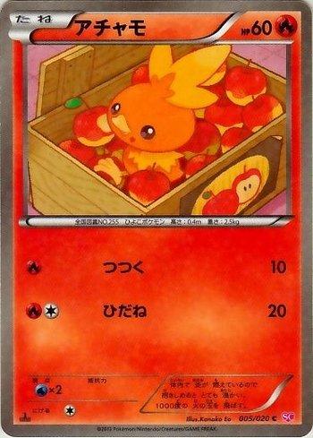 Torchic (005/020)