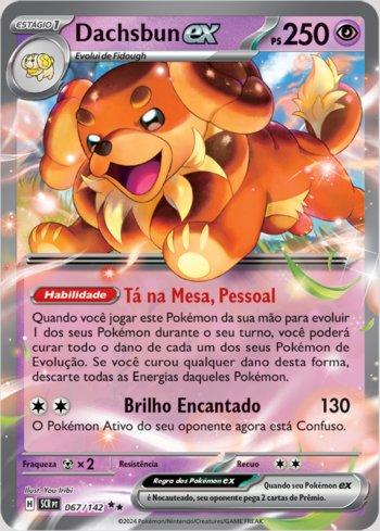 Dachsbun ex (067/142)