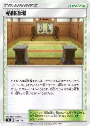 Martial Arts Dojo (125/127)