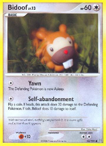 Bidoof (54/100)