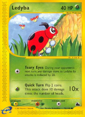 Ledyba (72/144)