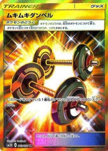 Bodybuilding Dumbbells (063/051)