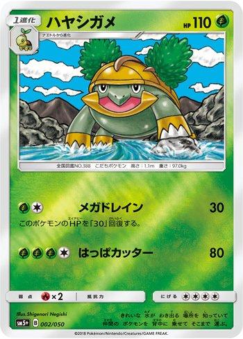 Grotle (002/050)