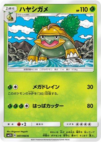 Grotle (007/066)