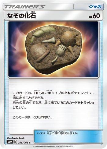 Unidentified Fossil (055/066)