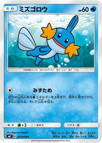 Mudkip (021/096)