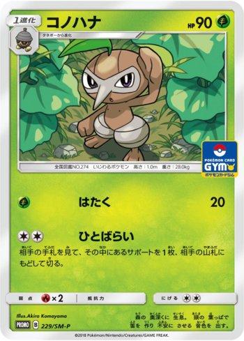 Nuzleaf (229/298)