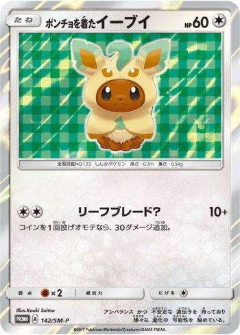 Poncho-Wearing Eevee (142/298)