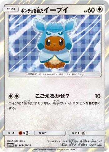 Poncho-Wearing Eevee (143/298)