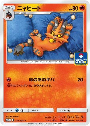 Torracat (313/298)
