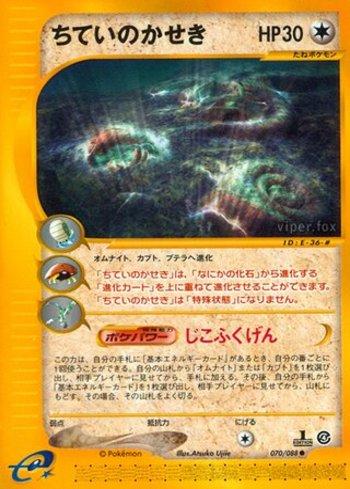 Buried Fossil (070/088)