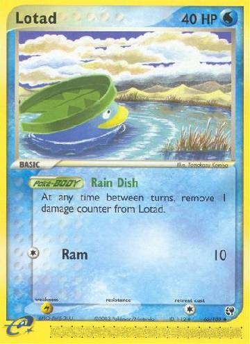 Lotad (66/100)