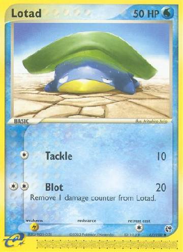 Lotad (67/100)