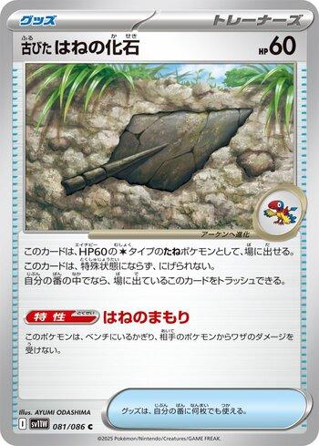 Antique Plume Fossil (081JP/086)