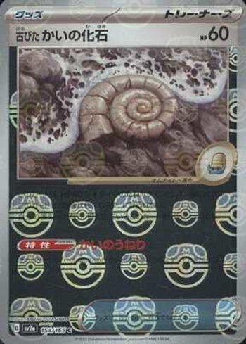 Antique Helix Fossil (154MB/165)
