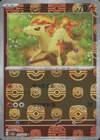 Ponyta (077MB/165)