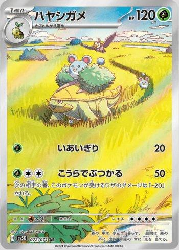 Grotle (072/071)
