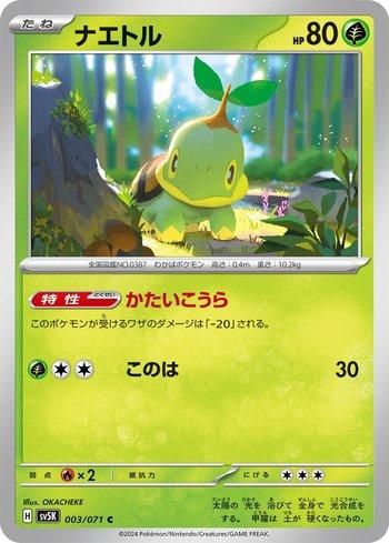 Turtwig (003/071)