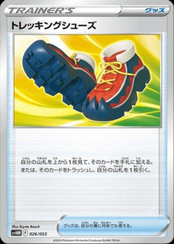 Trekking Shoes (026/053)