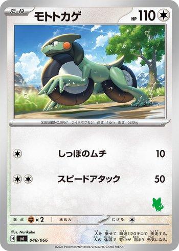 Cyclizar (048/066) — Liga BR — SVISD