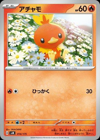 Torchic (014/175)