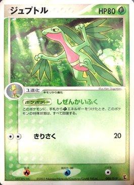 Grovyle (005/019)