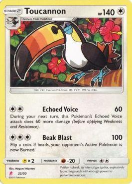 Toucannon (22/30)