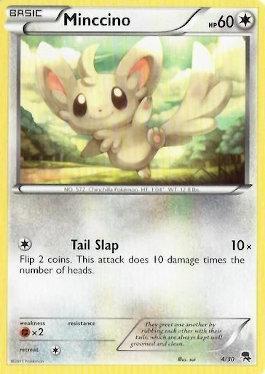 Minccino (04/30)