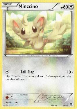 Minccino (19/30)