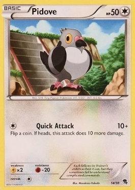 Pidove (14/30)