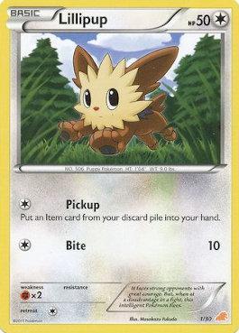 Lillipup (01/30)